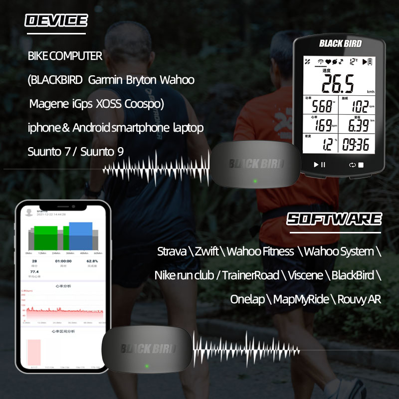 BlackBird HR1 심박수 센서 지원 ANT+ 블 - Breath Rate Monitor 리뷰 및 가격